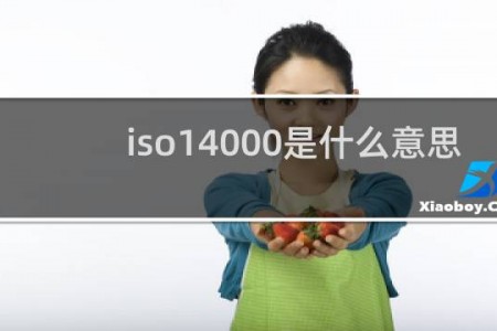 iso14000是什么意思